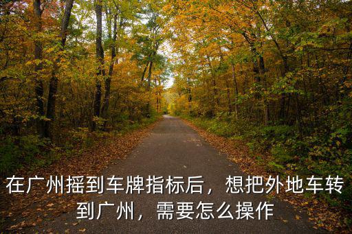 廣州搖號中簽后過戶需要怎么做,在廣州搖到車牌指標(biāo)后