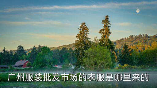 廣州凍品市場的貨是從哪里進來的,市場上有好多凍牛肉的貨
