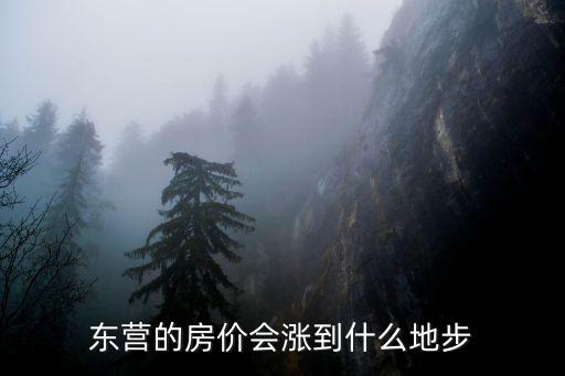 最近東營廣饒房價是多少,東營房價多少