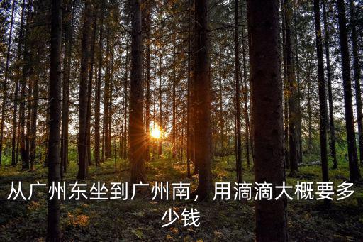 從廣州東坐到廣州南，用滴滴大概要多少錢