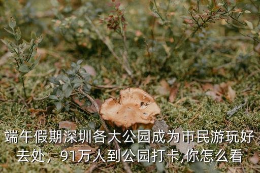 怎么查深圳公園的人流量,深圳各公園人很多