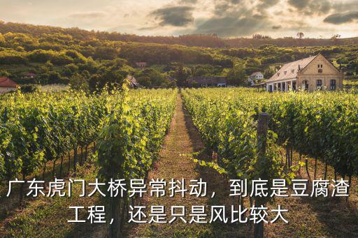 廣東大橋抖動怎么辦,廣東虎門大橋每年都大檢查
