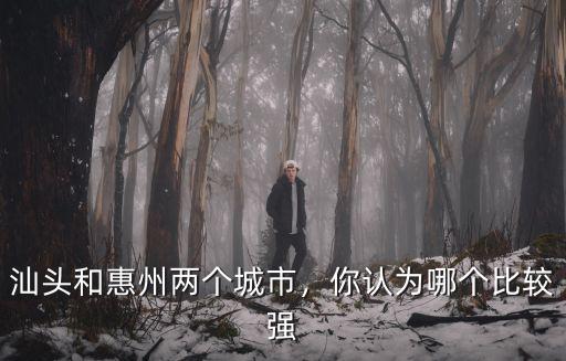 汕頭和惠州兩個城市，你認為哪個比較強