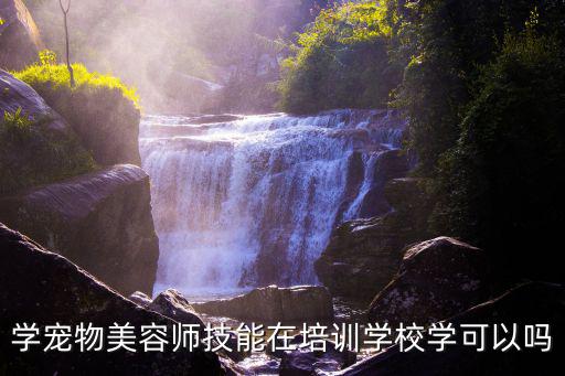 學(xué)寵物美容師技能在培訓(xùn)學(xué)校學(xué)可以嗎