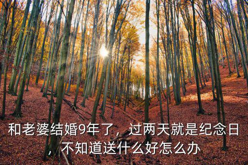 深圳 結(jié)婚紀(jì)念日 哪里過(guò)好,你們結(jié)婚紀(jì)念日都怎么過(guò)