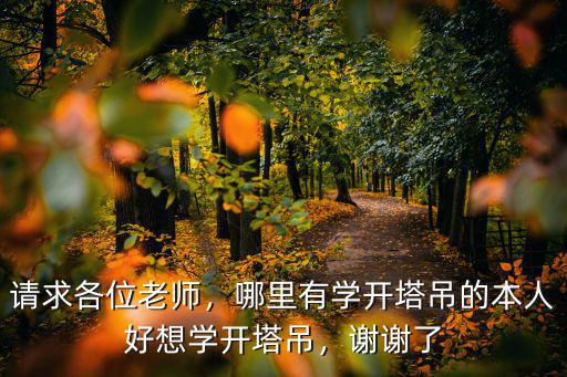 深圳學開塔吊的地方在哪里,想學開塔吊應(yīng)該去哪里學