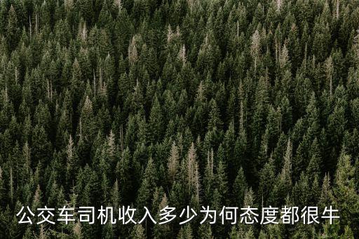 溫州公交車駕駛員工資多少錢一個月,公交車司機月工資是多少