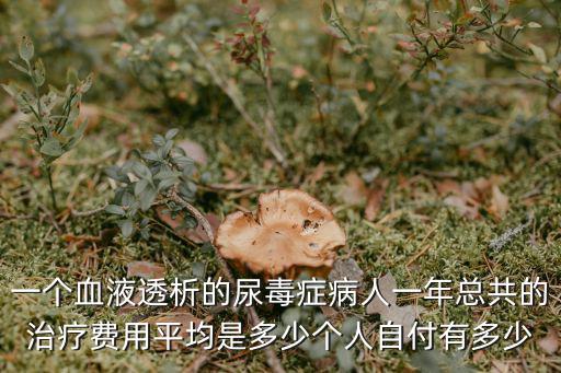 河源尿毒癥患者有多少錢,尿毒癥換腎要多少錢