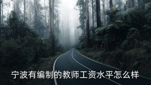 溫州有編制的教師工資是多少錢一個月,一個月工資大概有多少
