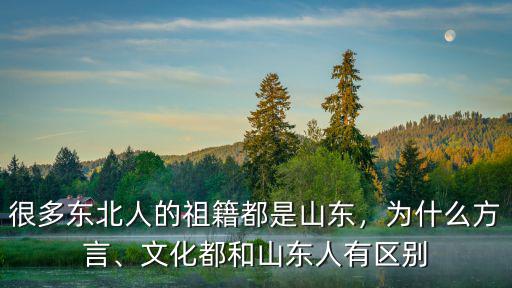山東有多少人類文化,文化都和山東人有區別