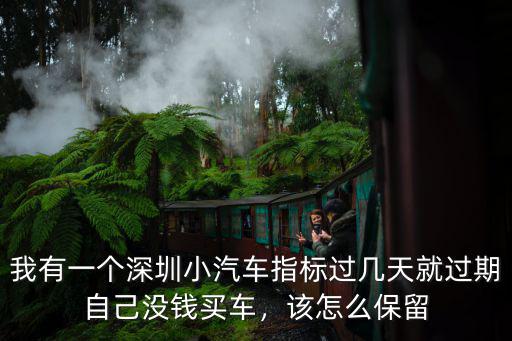 我有一個深圳小汽車指標過幾天就過期自己沒錢買車，該怎么保留