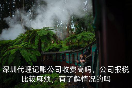 深圳代理記賬報稅費用多少錢,深圳代理記賬公司收費高嗎