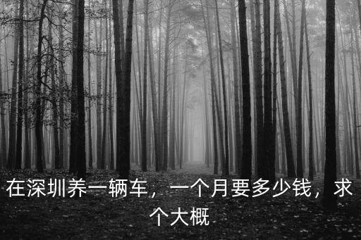 在深圳養(yǎng)一輛車，一個月要多少錢，求個大概