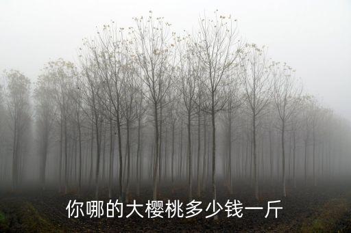 你哪的大櫻桃多少錢一斤