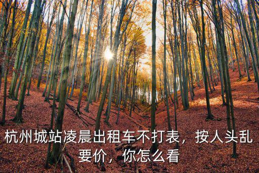 杭州城站凌晨出租車不打表，按人頭亂要價，你怎么看