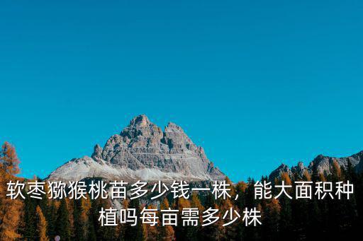 山東綠心獼猴桃種苗多少錢,軟棗獼猴桃苗多少錢一株