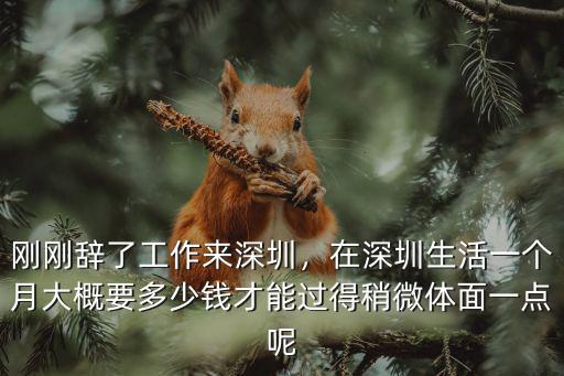 剛剛辭了工作來深圳，在深圳生活一個月大概要多少錢才能過得稍微體面一點呢