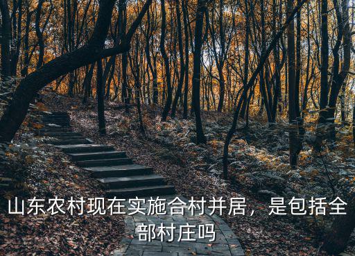 山東農村現在實施合村并居，是包括全部村莊嗎