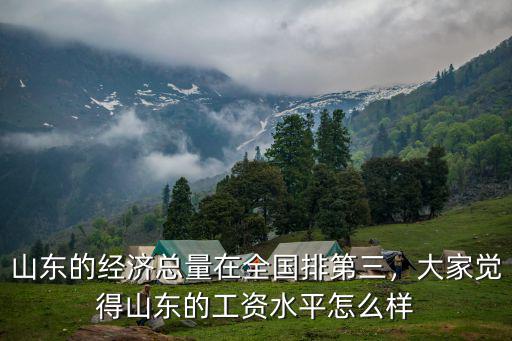 山東的經濟總量在全國排第三，大家覺得山東的工資水平怎么樣