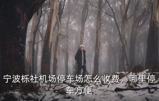 寧波櫟社機場停車場怎么收費，哪里停車方便