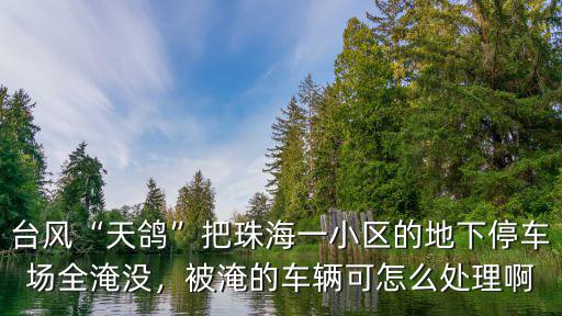 臺風“天鴿”把珠海一小區的地下停車場全淹沒，被淹的車輛可怎么處理啊
