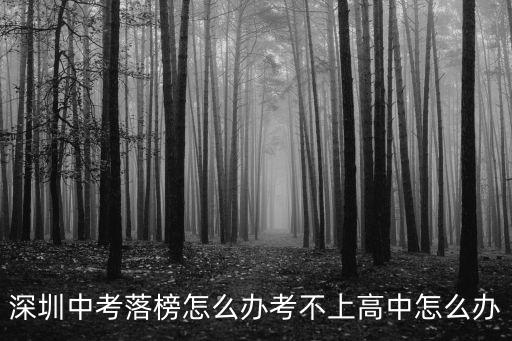 深圳中考落榜怎么辦考不上高中怎么辦