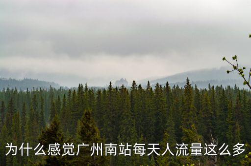 廣州南站高鐵客流量多少,對廣州南有什么評價