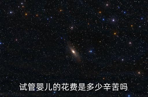 試管嬰兒的花費是多少辛苦嗎