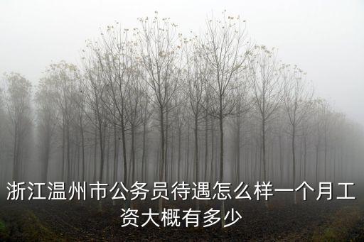 溫州市公務員公積金有多少,浙江溫州市公務員待遇怎么樣