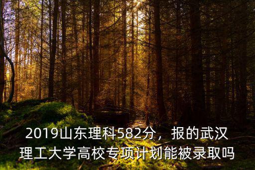 武漢大學在山東錄取分數線多少,2019山東理科582分