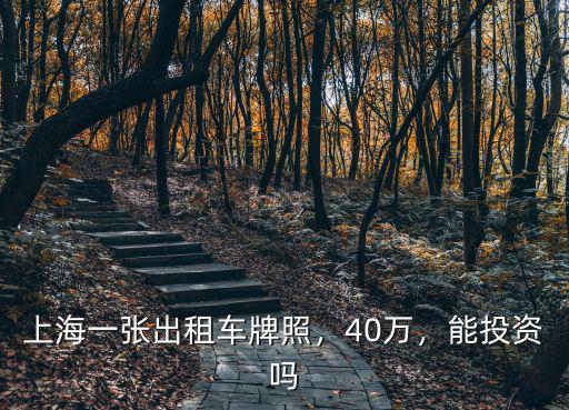 珠海出租車牌照價格是多少錢一個,煙臺市正規出租車多少錢一輛