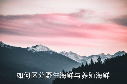 如何區分野生海鮮與養殖海鮮