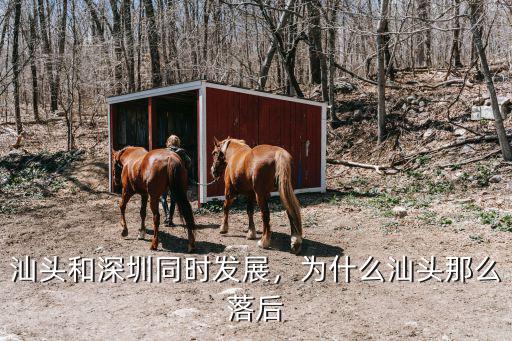 汕頭廈門經(jīng)濟(jì)怎么樣,為什么汕頭那么落后