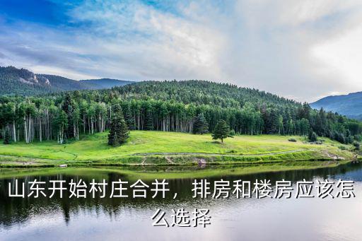 山東開始村莊合并，排房和樓房應該怎么選擇