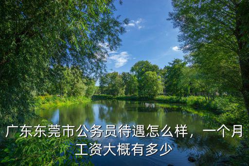 東莞市潤信工資待遇怎么樣,廣東東莞市公務員待遇怎么樣
