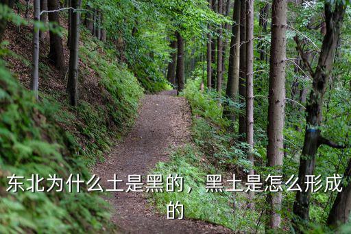 東北為什么土是黑的，黑土是怎么形成的