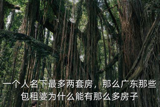 一個人名下最多兩套房，那么廣東那些包租婆為什么能有那么多房子