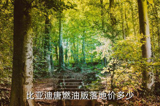比亞迪唐燃油版落地價多少