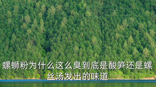 廣東做螺螄粉怎么樣,為什么廣西最出名的螺螄粉