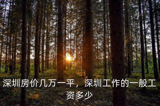 深圳房子那么貴工資多少,深圳房?jī)r(jià)幾萬(wàn)一平