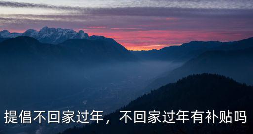 提倡不回家過年，不回家過年有補貼嗎