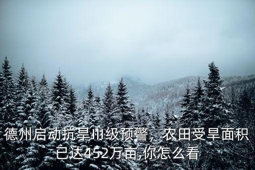 德州啟動抗旱Ⅲ級預警，農田受旱面積已達452萬畝,你怎么看