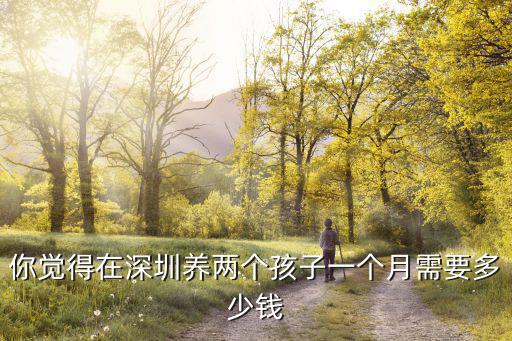兩個人在深圳一個月花銷多少,在深圳一個人