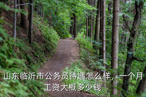 山東新入職公務員月工資是多少錢,一個月工資大概多少錢