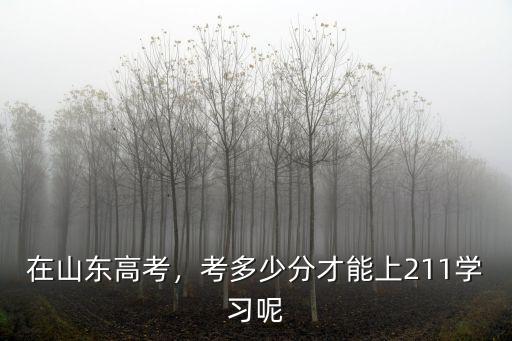 山東超一本線多少分可以上211,考多少分才能上211學(xué)習(xí)呢