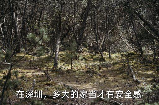 在深圳，多大的家當才有安全感