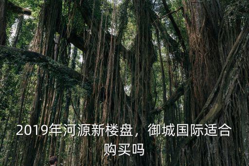 2019年河源新樓盤，御城國際適合購買嗎