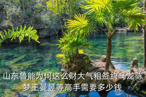 山東魯能青訓(xùn)多少錢,山東魯能為何這么財(cái)大氣粗