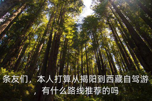條友們，本人打算從揭陽到西藏自駕游，有什么路線推薦的嗎