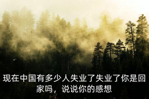 現在中國有多少人失業了失業了你是回家嗎，說說你的感想
